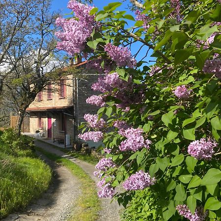 La Lupa E L'Orso Bed and Breakfast Berceto Exteriör bild