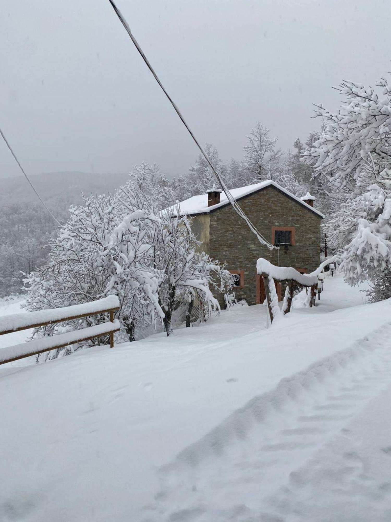 La Lupa E L'Orso Bed and Breakfast Berceto Exteriör bild