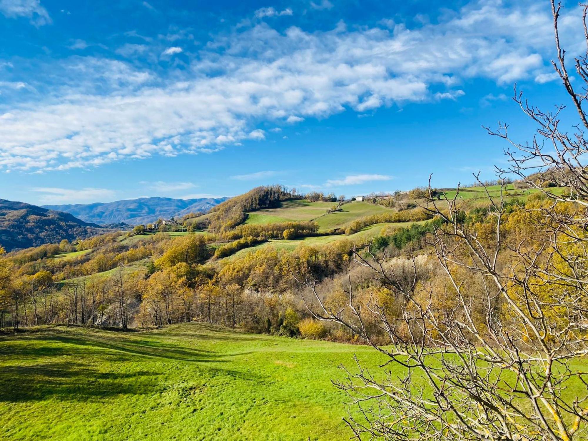 La Lupa E L'Orso Bed and Breakfast Berceto Exteriör bild