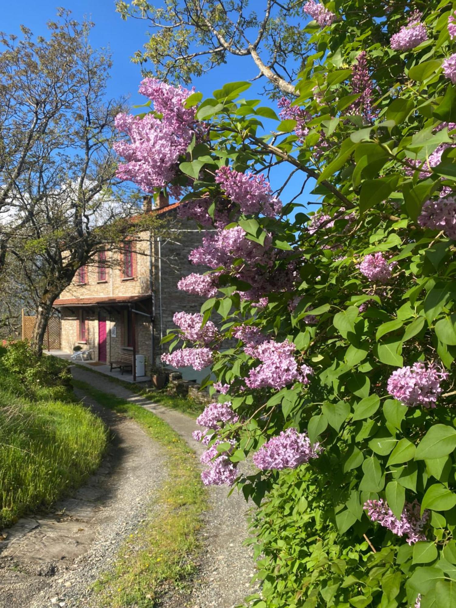 La Lupa E L'Orso Bed and Breakfast Berceto Exteriör bild